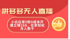 （11521期）拼多多无人直播，小白在家0粉0成本开播立赚268，在家轻松月入数千-理想项目库