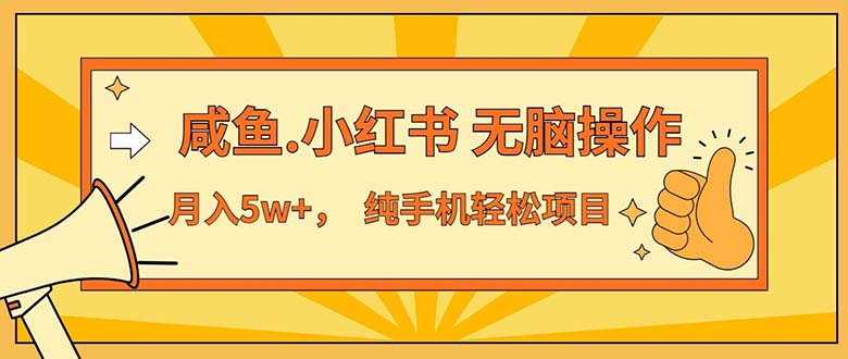 （11524期）2024最赚钱的项目，咸鱼，小红书无脑操作，每单利润500+，轻松月入5万+…-理想项目库