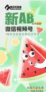 梅花实验室2024年AB技术视频号AB合成破解版-理想项目库