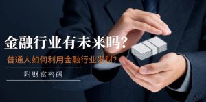 公众号付费文章：金融行业有未来吗？普通人如何利用金融行业发财?(附财富密码)-理想项目库