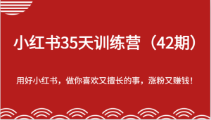 小红书35天训练营(42期)-用好小红书,做你喜欢又擅长的事,涨粉又赚钱!-理想项目库