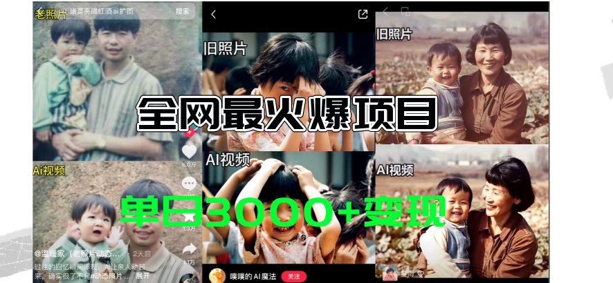 （11546期）全网爆火的AI让老照片动起来教程，蹭热点日赚3000+，内含免费工具一键…-理想项目库