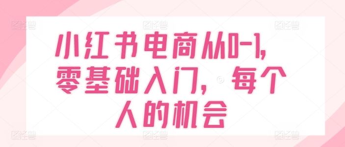 小红书电商从0-1，零基础入门，每个人的机会-理想项目库