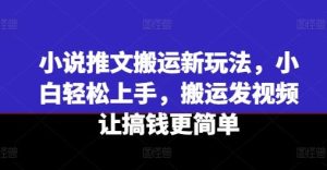 小说推文搬运新玩法,小白轻松上手,搬运发视频让搞钱更简单-理想项目库