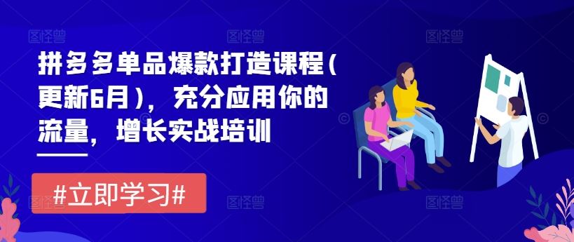 拼多多单品爆款打造课程(更新6月)，充分应用你的流量，增长实战培训-理想项目库