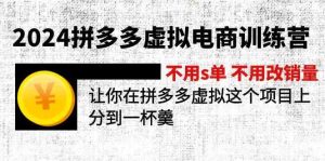 2024拼多多虚拟电商训练营 不用s单 不用改销量 在拼多多虚拟上分到一杯羹-理想项目库