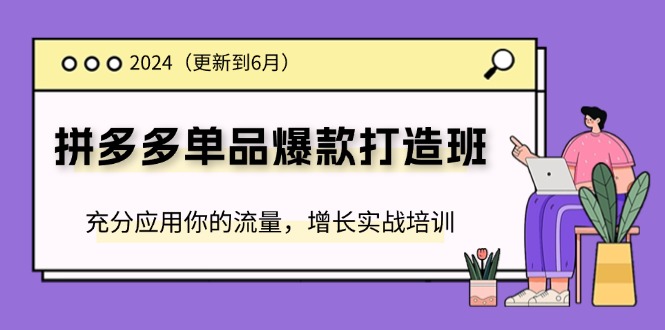 （11556期）2024拼多多-单品爆款打造班(更新6月)，充分应用你的流量，增长实战培训-理想项目库