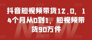 抖音短视频带货12.0，14个月从0到1，短视频带货90万件-理想项目库