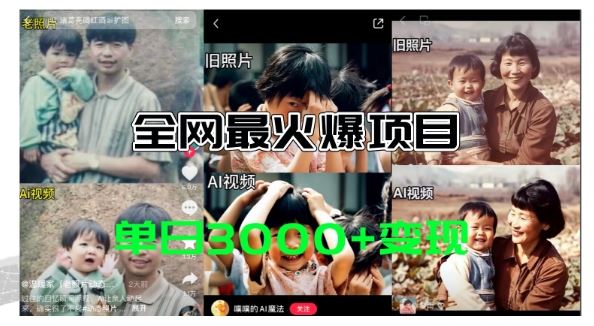 全网爆火的AI让老照片动起来教程，蹭热点日赚3k+，内含免费工具一键可生成【揭秘】-理想项目库