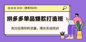 2024拼多多单品爆款打造班,充分应用你的流量,增长实战培训(更新6月)-理想项目库