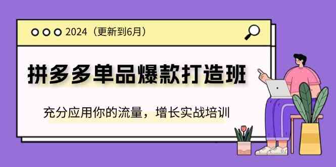 2024拼多多单品爆款打造班，充分应用你的流量，增长实战培训(更新6月)-理想项目库