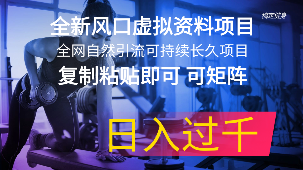 （11587期）全新风口虚拟资料项目 全网自然引流可持续长久项目 复制粘贴即可可矩阵…-理想项目库