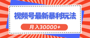 (11588期)视频号最新暴利玩法,轻松月入30000+-理想项目库