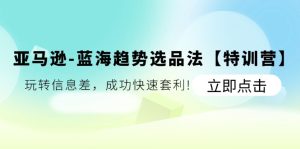 (11591期)亚马逊-蓝海趋势选品法【特训营】:玩转信息差,成功快速套利!-理想项目库