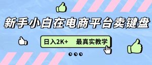 (11610期)新手小白在电商平台卖键盘,日入2K+最真实教学-理想项目库