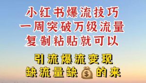小红书爆流技巧,一周突破万级流量,复制粘贴就可以,引流爆流变现【揭秘】-理想项目库