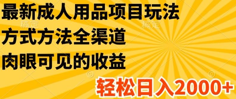 最新成人用品项目玩法，方式方法全渠道，轻松日入2K+【揭秘】-理想项目库