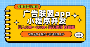 (11645期)小程序开发 广告赚钱 日入500~1000+ 小白轻松上手!-理想项目库
