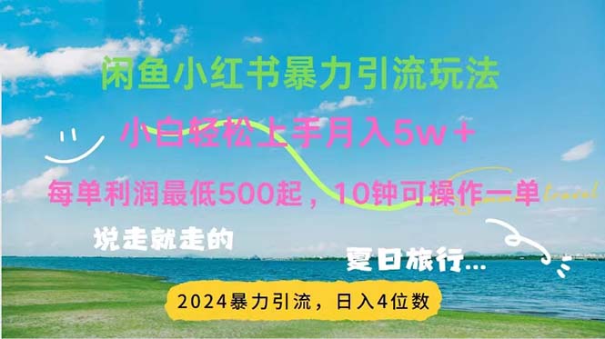 （11650期）2024暑假赚钱项目小红书咸鱼暴力引流，简单无脑操作，每单利润500+，…-理想项目库