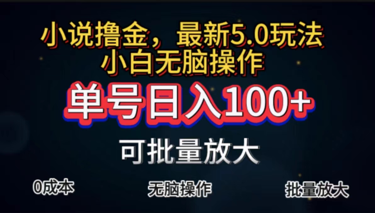 （11651期）全自动小说撸金，单号日入100+小白轻松上手，无脑操作-理想项目库