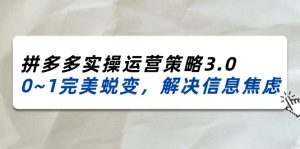 （11658期）2024_2025拼多多实操运营策略3.0，0~1完美蜕变，解决信息焦虑（38节）-理想项目库