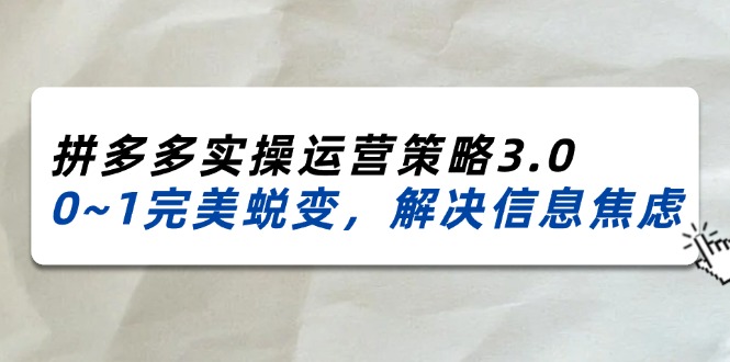 （11658期）2024_2025拼多多实操运营策略3.0，0~1完美蜕变，解决信息焦虑（38节）-理想项目库