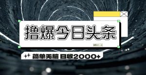 (11665期)撸爆今日头条 简单无脑操作 日收2000+-理想项目库