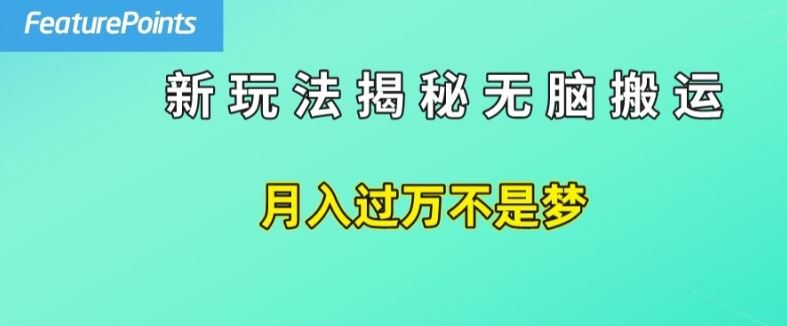 简单操作，每天50美元收入，搬运就是赚钱的秘诀【揭秘】-理想项目库