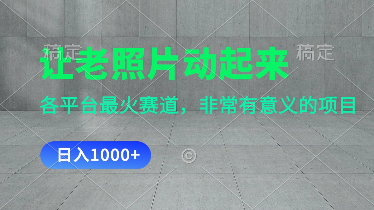 （11671期）让老照片动起来，一天变现1000+，各平台最火赛道，看完就会-理想项目库