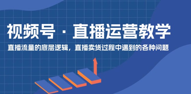 （11687期）视频号 直播运营教学：直播流量的底层逻辑，直播卖货过程中遇到的各种问题-理想项目库