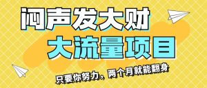 （11688期）闷声发大财，大流量项目，月收益过3万，只要你努力，两个月就能翻身-理想项目库