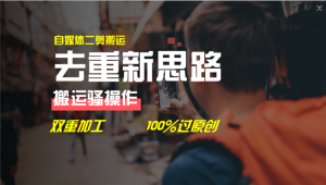 去重新思路，详细教你自媒体视频二剪搬运技术，自己加工双重去重100%过原创-理想项目库