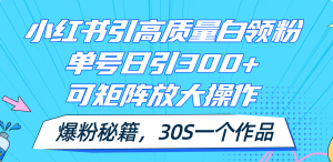 （11692期）小红书引高质量白领粉，单号日引300+，可放大操作，爆粉秘籍！30s一个作品-理想项目库