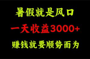 (11670期)一天收益3000+ 赚钱就是顺势而为,暑假就是风口-理想项目库