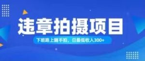 (11698期)随手拍也能赚钱?对的日入300+-理想项目库