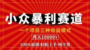 (11695期)视频号【中老年粉深信不疑】小众赛道 100%原创 手把手教学 新号3天收益…-理想项目库