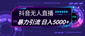 (11709期)抖音无人直播,暴利引流,日入5000+-理想项目库