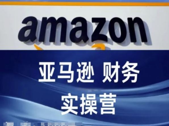 亚马逊财务核算实操营-亚马逊跨境电商教程-理想项目库