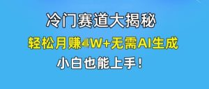 冷门赛道大揭秘,轻松月赚1W+无需AI生成,小白也能上手【揭秘】-理想项目库