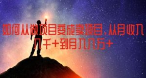 如何从做项目变成卖项目,从月收入几千到月入几万【揭秘】-理想项目库
