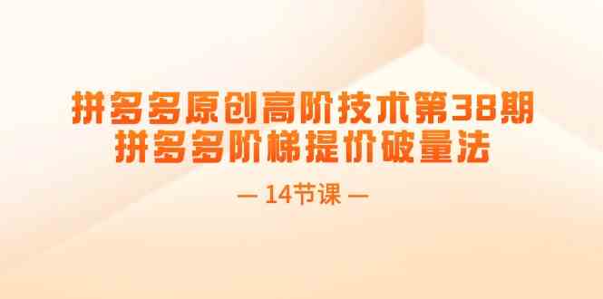 拼多多原创高阶技术第38期，拼多多阶梯提价破量法（14节课）-理想项目库