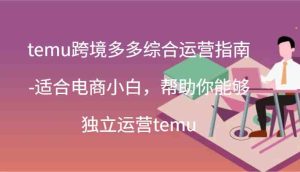 temu跨境多多综合运营指南-适合电商小白,帮助你能够独立运营temu(44节)-理想项目库