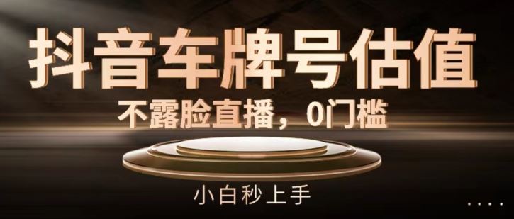 抖音车牌号估值，不露脸直播，0门槛，小白秒上手【揭秘】-理想项目库
