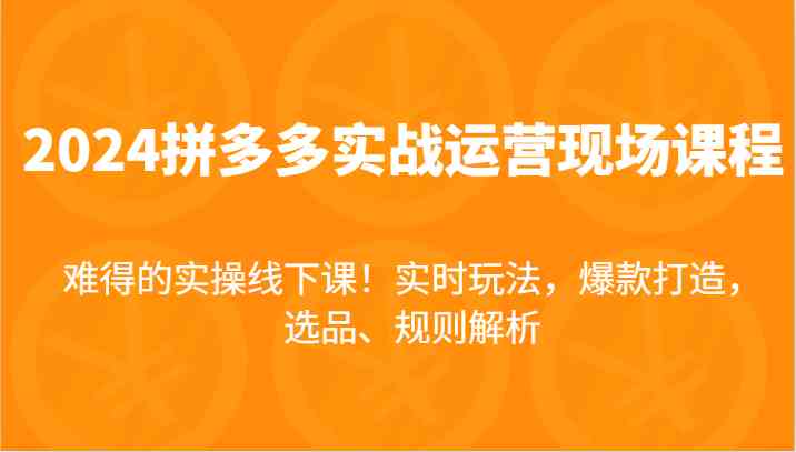 2024拼多多实战运营现场课，实时玩法，爆款打造，选品、规则解析，难得的实操线下课！-理想项目库