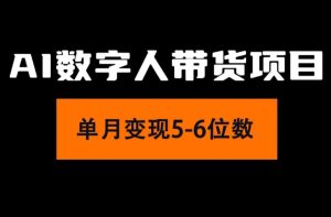 (11751期)2024年Ai数字人带货,小白就可以轻松上手,真正实现月入过万的项目-理想项目库