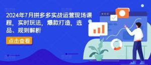 2024年7月拼多多实战运营现场课程，实时玩法，爆款打造，选品、规则解析-理想项目库