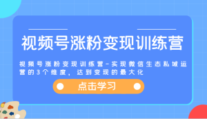 视频号涨粉变现训练营-实现微信生态私域运营的3个维度，达到变现的最大化-理想项目库
