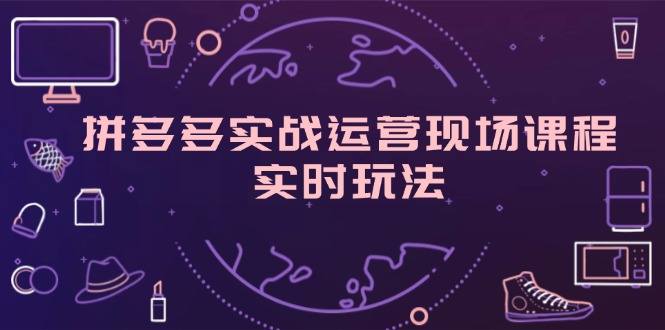 （11759期）拼多多实战运营现场课程，实时玩法，爆款打造，选品、规则解析-理想项目库