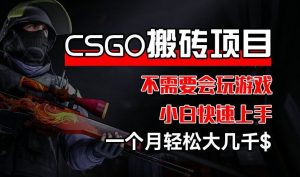 CSGO 装备搬砖项目，操作简单，不需要会玩游戏，小白也能快速上手，一个月轻松大几千【揭秘】-理想项目库