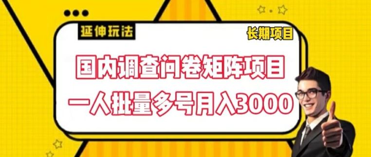 国内调查问卷矩阵项目，一人批量多号月入3000【揭秘】-理想项目库